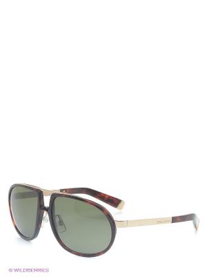 Солнцезащитные очки DQ 0025 54N Dsquared. Цвет: коричневый