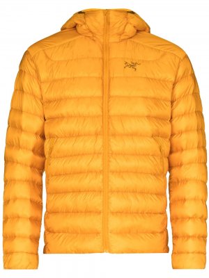 Arcteryx пуховик Cerium LT с капюшоном Arc'teryx. Цвет: оранжевый