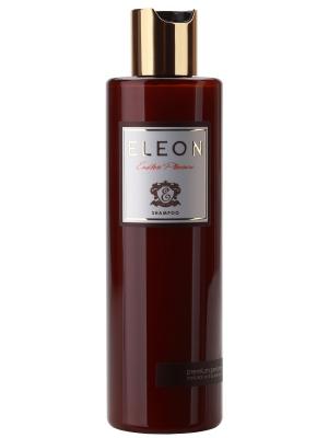 Eleon коллекция парфюмера укрепляющий Шампунь для волос Endless pleasure. Цвет: коричневый, бронзовый