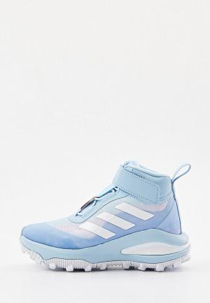 Ботинки трекинговые adidas. Цвет: голубой