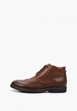 Ботинки Vittorio Bravo. Цвет: коричневый