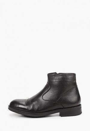 Ботинки Marco Lippi. Цвет: черный