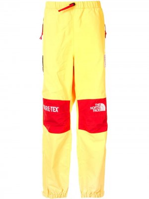 Спортивные брюки TNF Expedition Supreme. Цвет: желтый